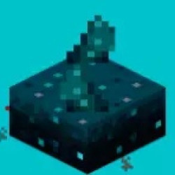 Sculk Sensor House design quiz