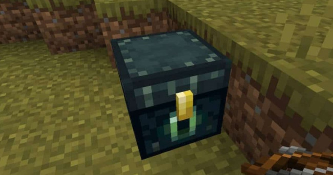 If you found a rare treasure chest while exploring, what would you do?