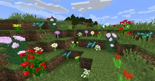 You see a field of flowers, which flower would you pick?