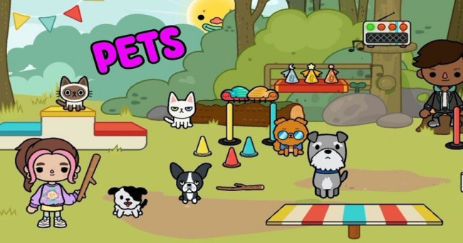 What's the perfect way to get a grumpy kitty to play in the Park?