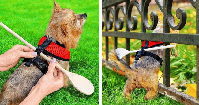 Rate this hack which is shown in figure.