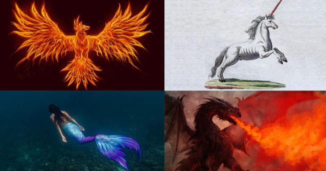 How would you react if someone invade your territory?