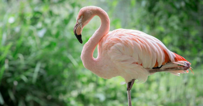 What is your favorite type of food?