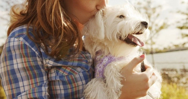 Do you have a pet dog?