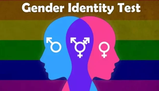 What Is Your True Gender Mix? Just Answer 6 Questions To Find Out