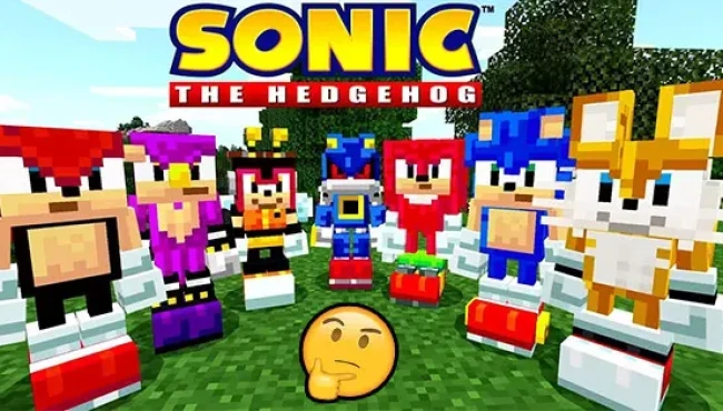 Which Character Are You In Sonic Minecraft DLC?